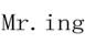 MR.ING��Ь