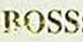 BOSSƤ��